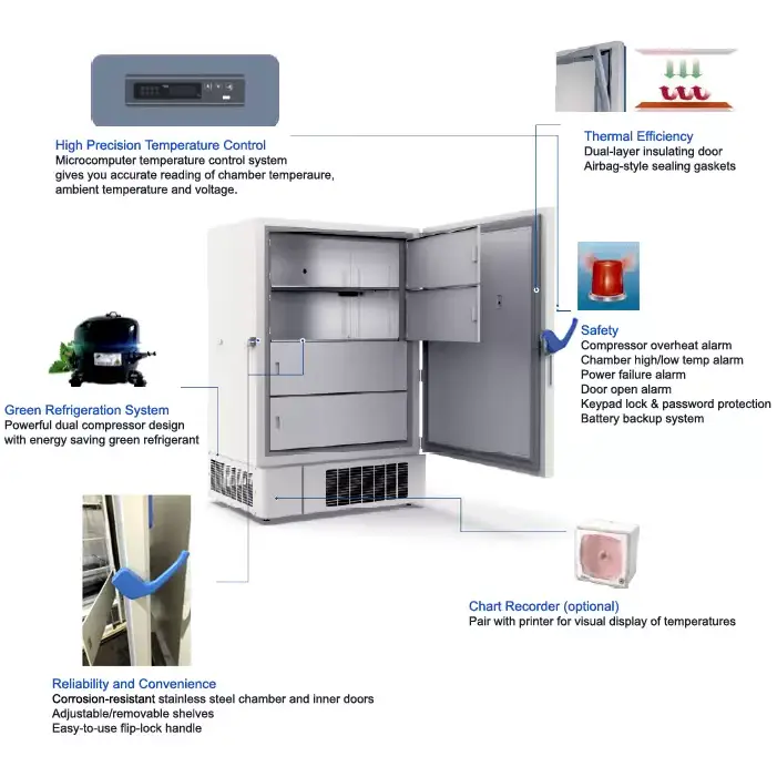 Ai DeepFreeze 35 Cu Ft -40°C Upright Freezer 110V - Freezers