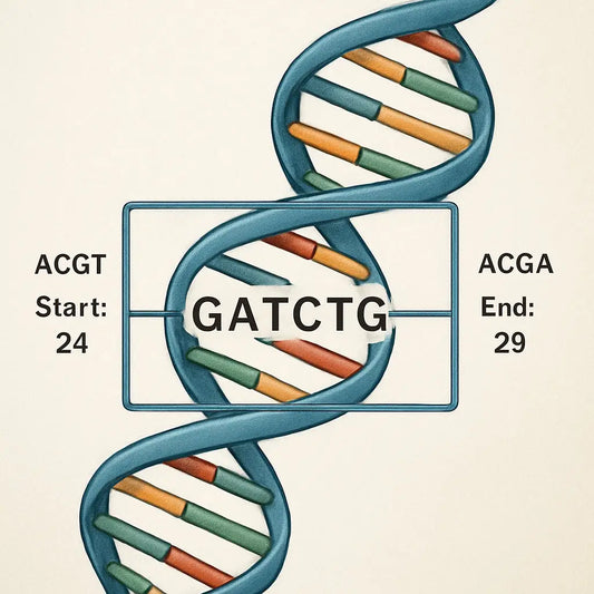 A detailed illustration of a DNA strand with a highlighted target region and flanking bases, showing start and end coordinates. Alt: "Defining target region for PCR primer design with clear coordinates and flanking sequence."