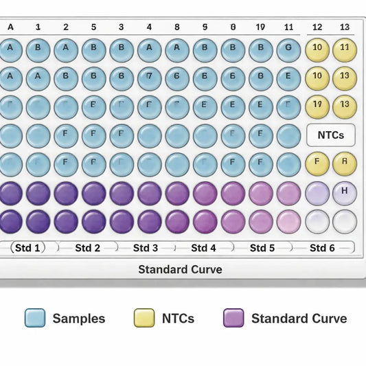 A realistic illustration of a 96‑well qPCR plate showing sample wells, no‑template controls, and a standard curve layout. Alt: 96‑well qPCR plate layout with labeled controls and standards.
