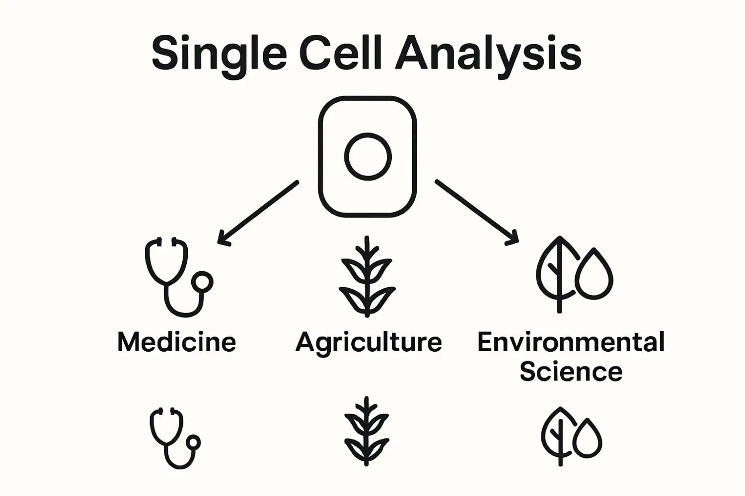 Infographic showing single cell analysis applications