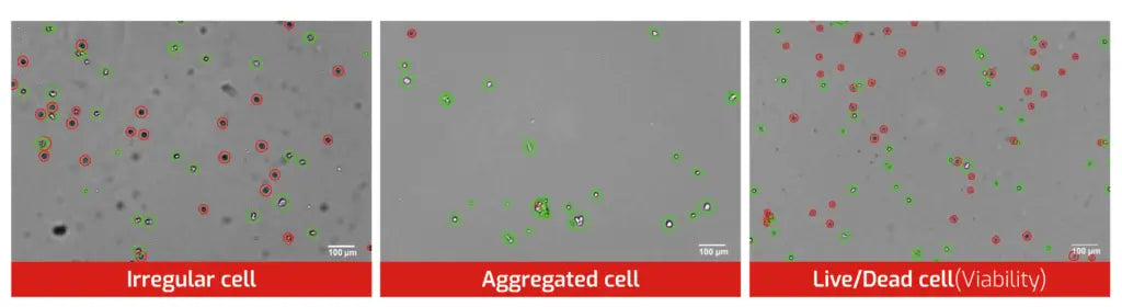 Accuris QuadCount™ Automated Cell Counter