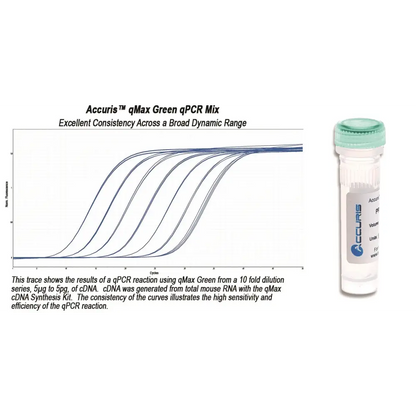 Accuris qPCR Bulk Reagent - Reagents