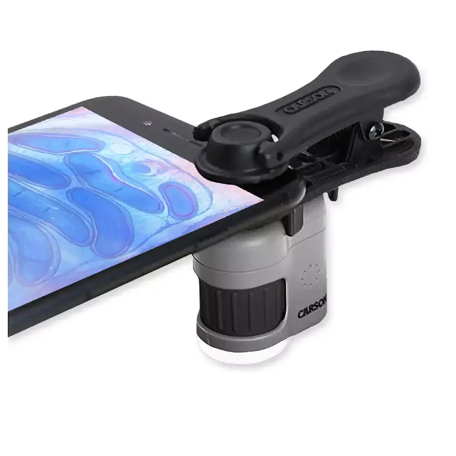 MicroMini 20x Microscope With Smartphone Adapter Microscopes