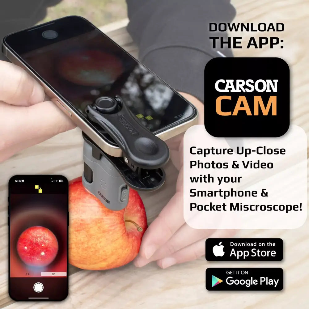 MicroMini 20x Microscope With Smartphone Adapter Microscopes