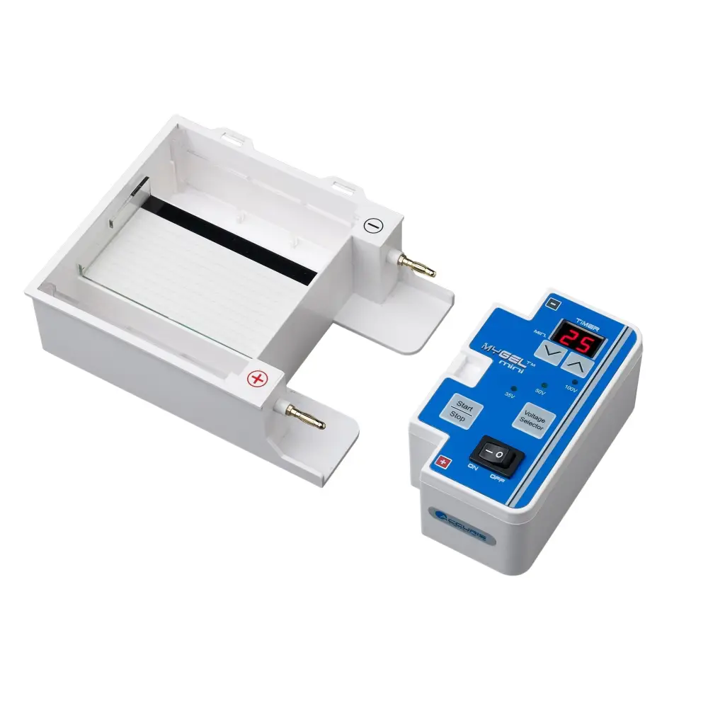 myGel™ Electrophoresis System - Electrophoresis