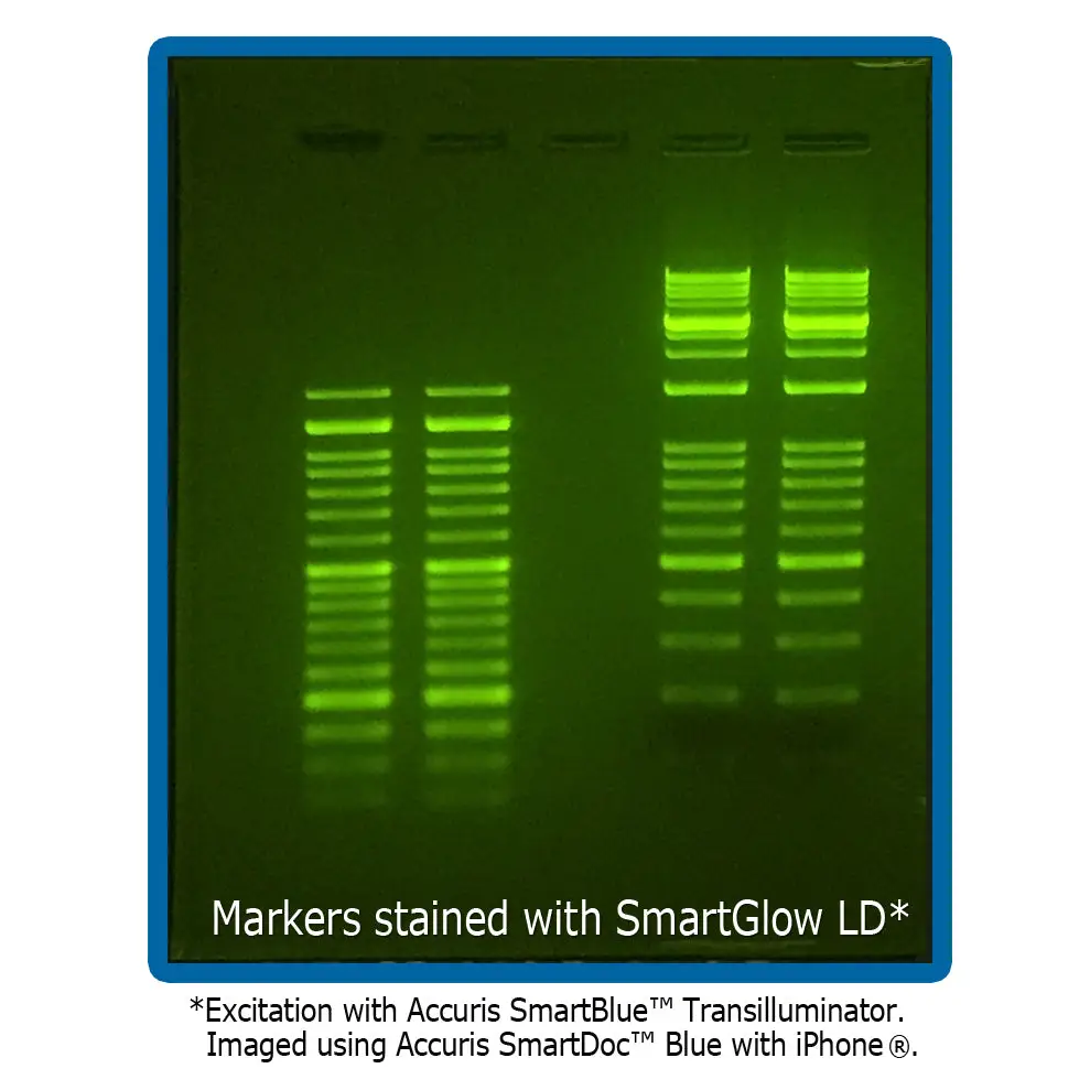 SmartGlow™ Reagents - Reagents