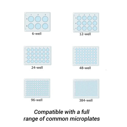 SmartReader™ MultiMode Plate - MultiMode Plate